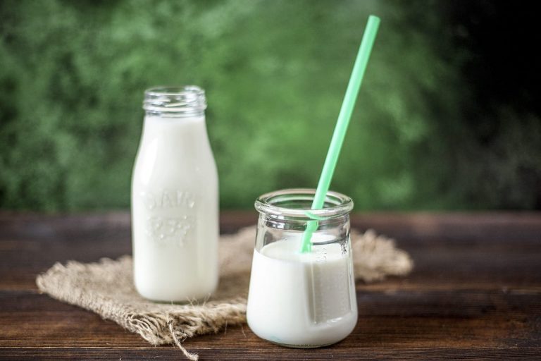 Día mundial leche